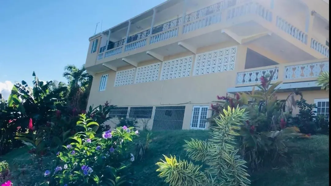 Hacienda Rose Tropical Paradise Juncos Holiday home